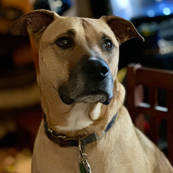 💖 Meet Your Posher 💖 - Picture 7 of 16